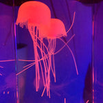 THE JELLYFISH LAMP™